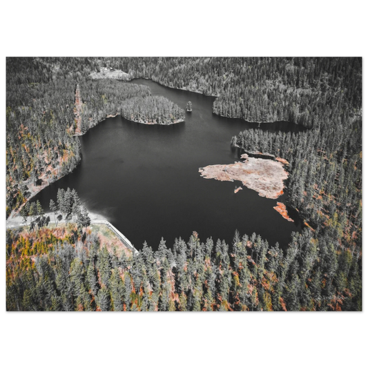 a637c3d4-d1ef-40b5-8737-e40172f14bf9