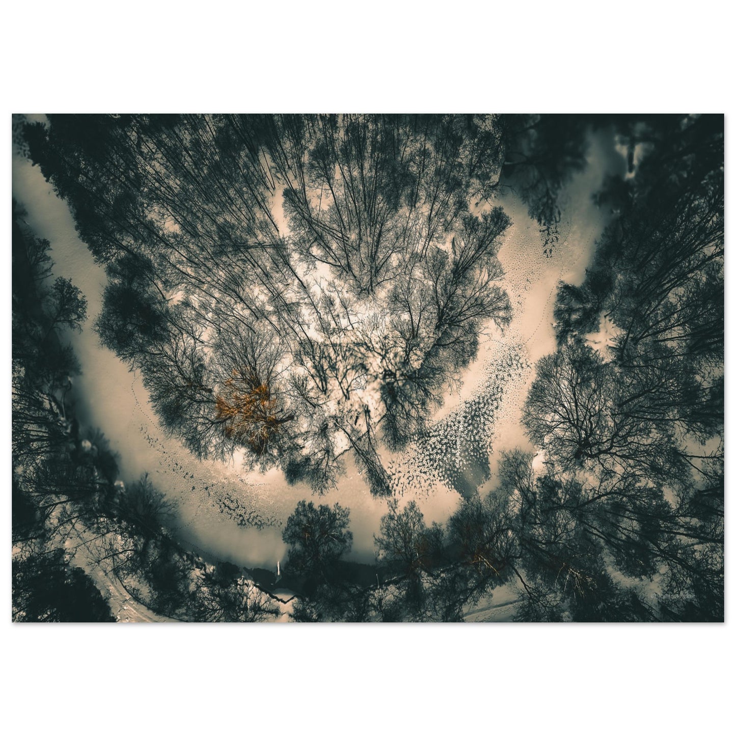 a99f03b2-16f4-4815-96a1-32a65332dd2a