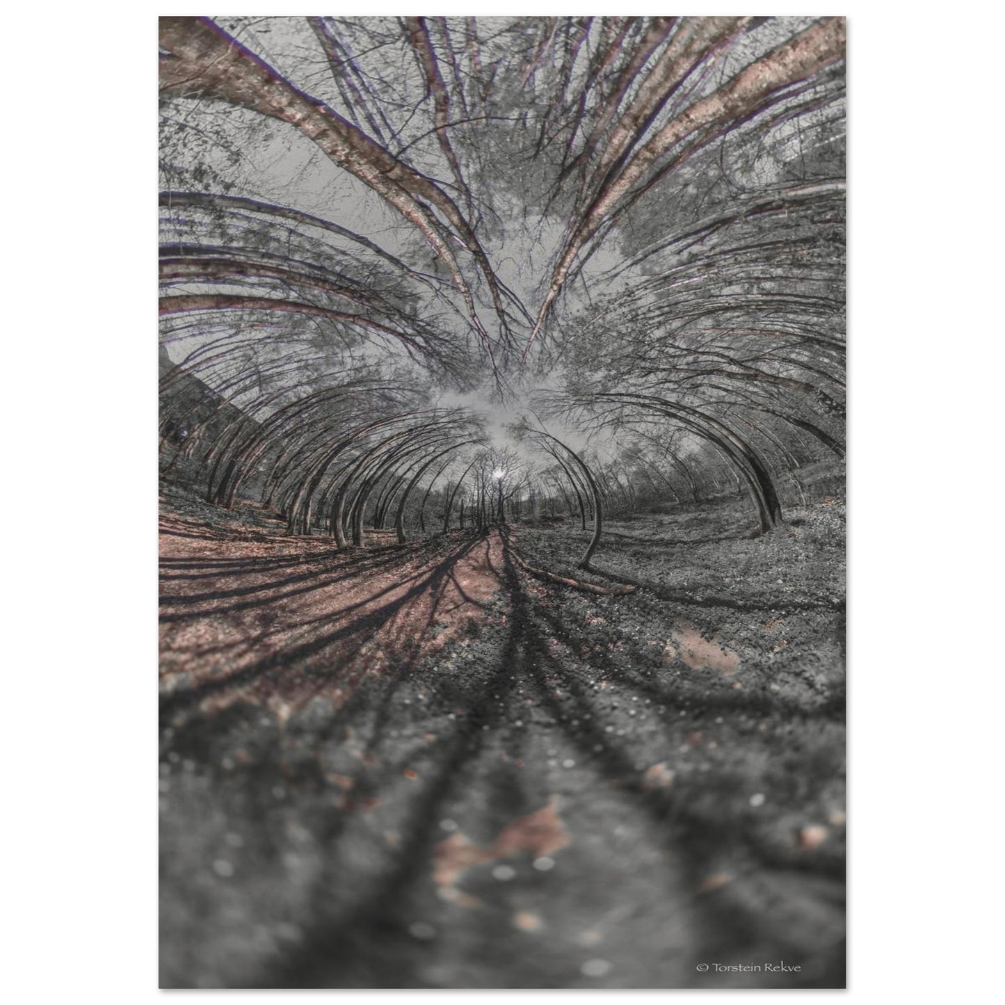 bd4ffc20-bfaa-4d91-81cc-07b1e46053b9