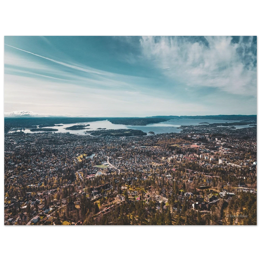 c37c1d71-3745-44bb-9ba3-e6d93254e231