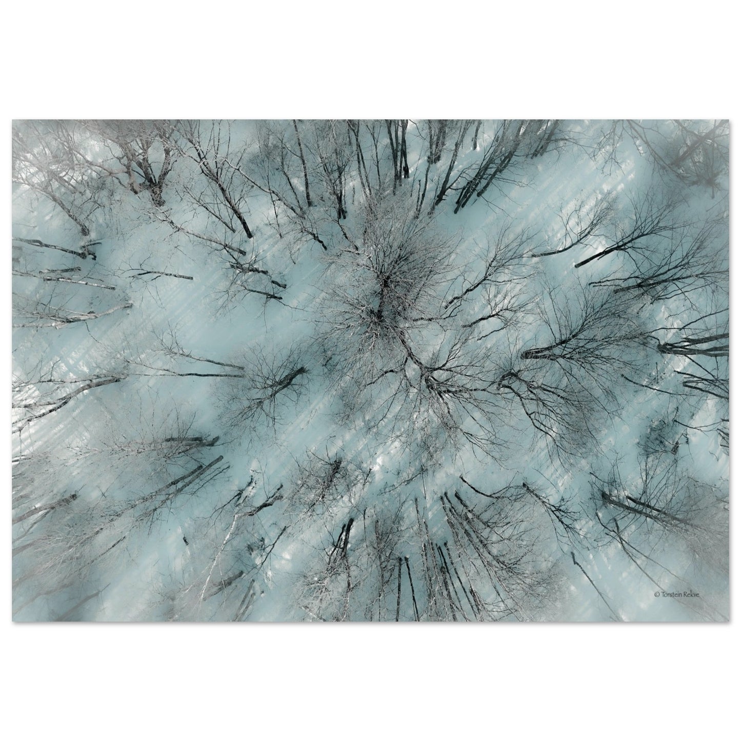 ced75d94-f237-4916-8607-3395d4b15819