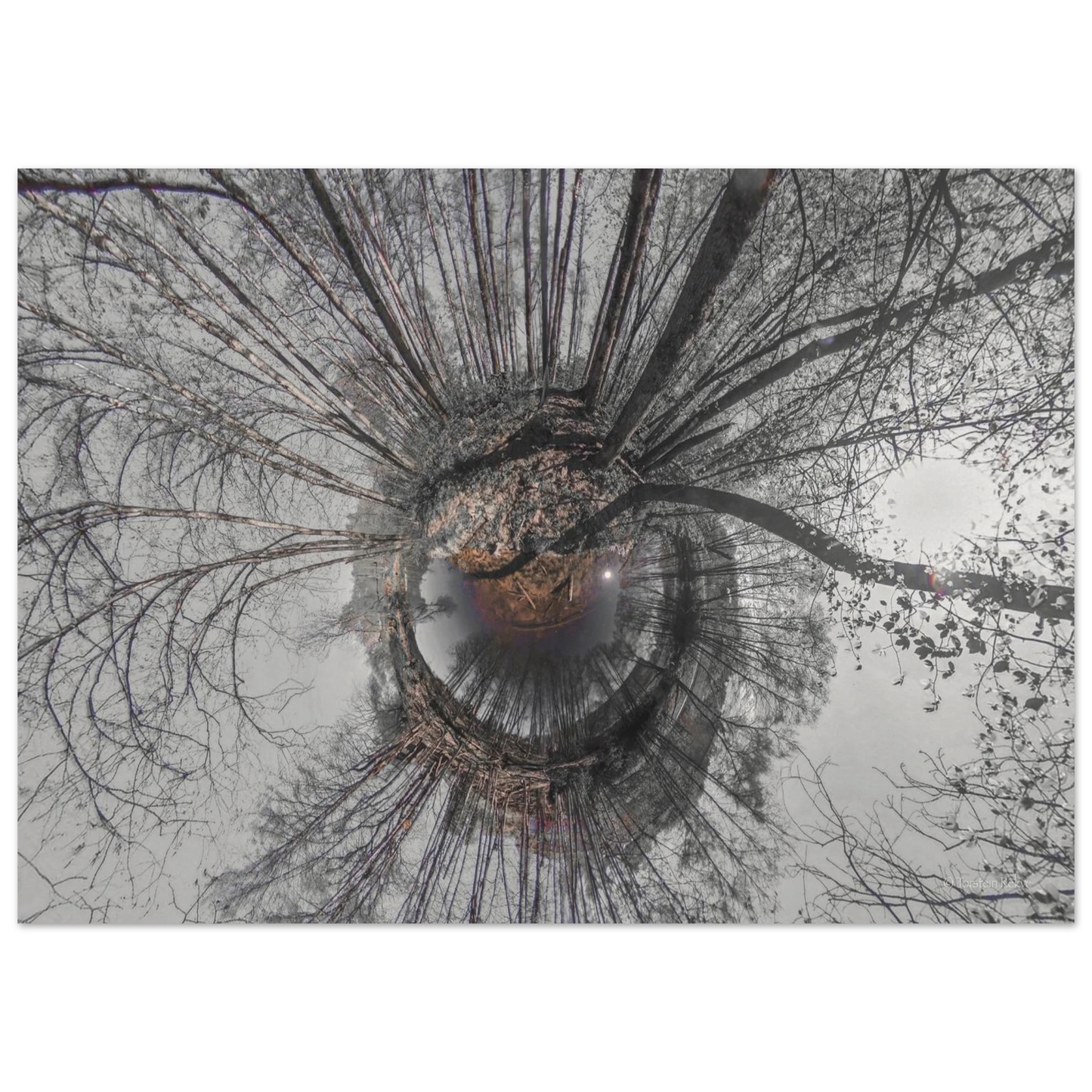 cf3508e0-9a02-418a-b782-b4ed3f142a4a