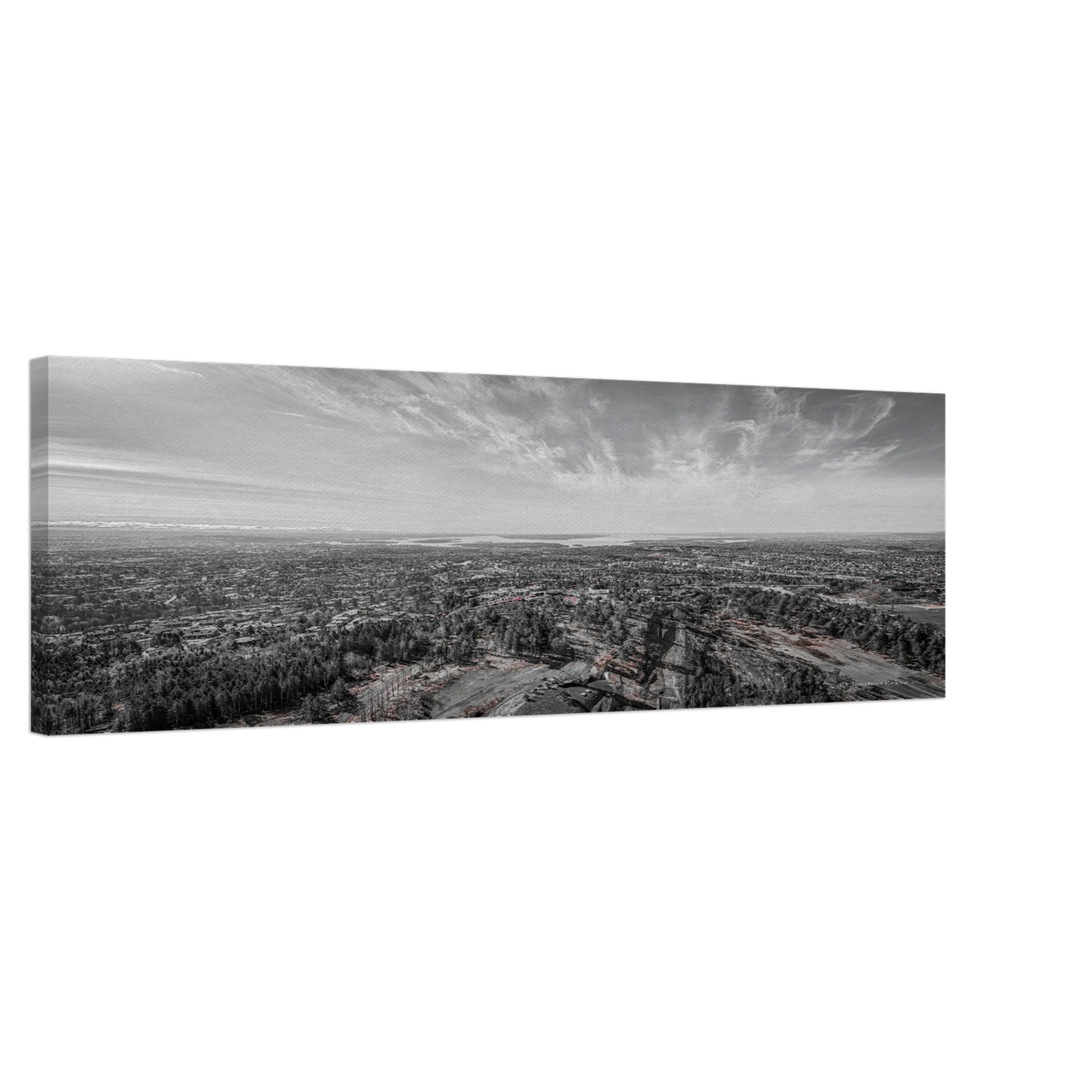 cfccabae-3668-472d-b609-70181ead1862