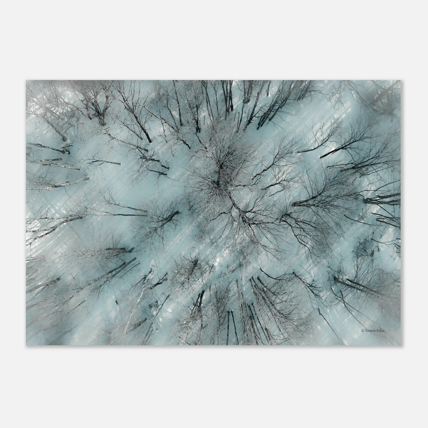 d0807a86-728a-4706-af74-8f7e0e1bc800