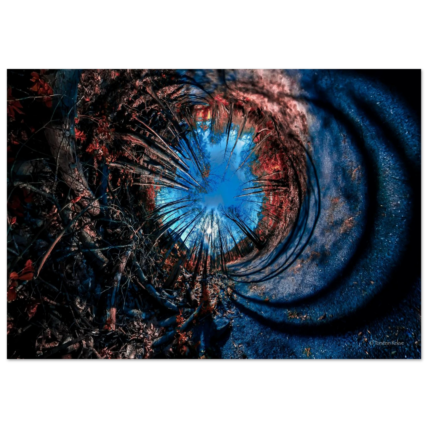 d29c0b3e-8789-4d6f-933d-677d8c77b4c4