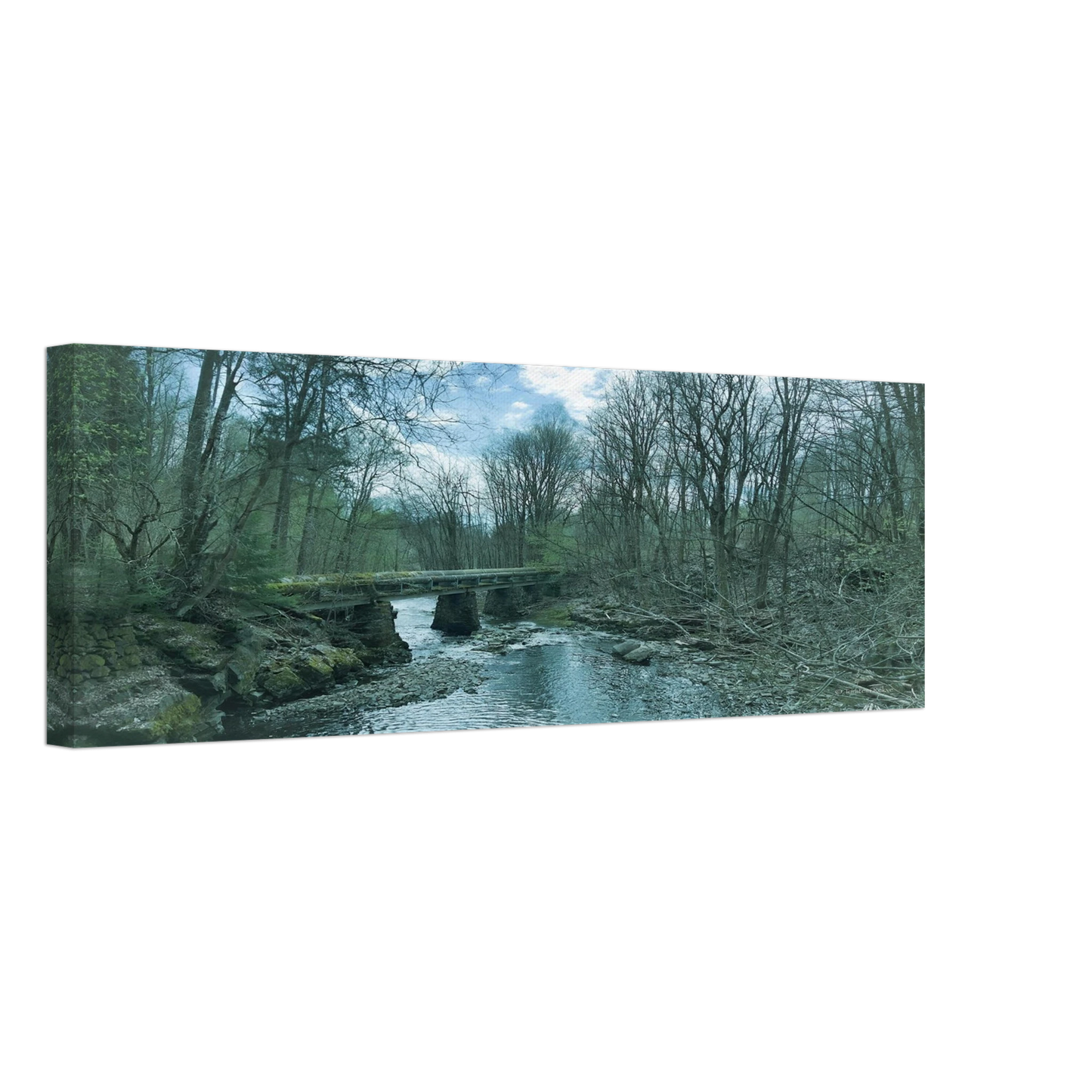 d33546e6-aaf9-4f5c-b183-2eeb3a753966