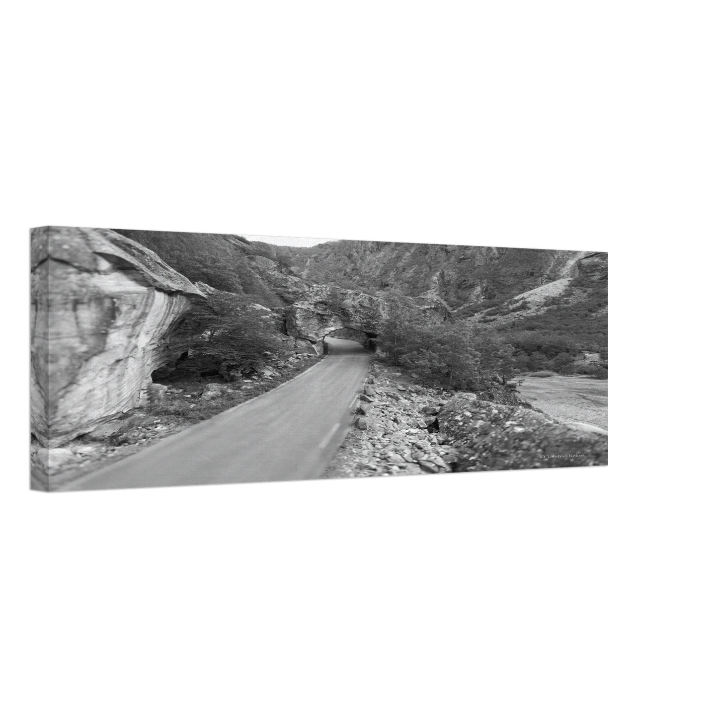 d75121e6-7b9c-4160-947e-cfcc45b47ad4