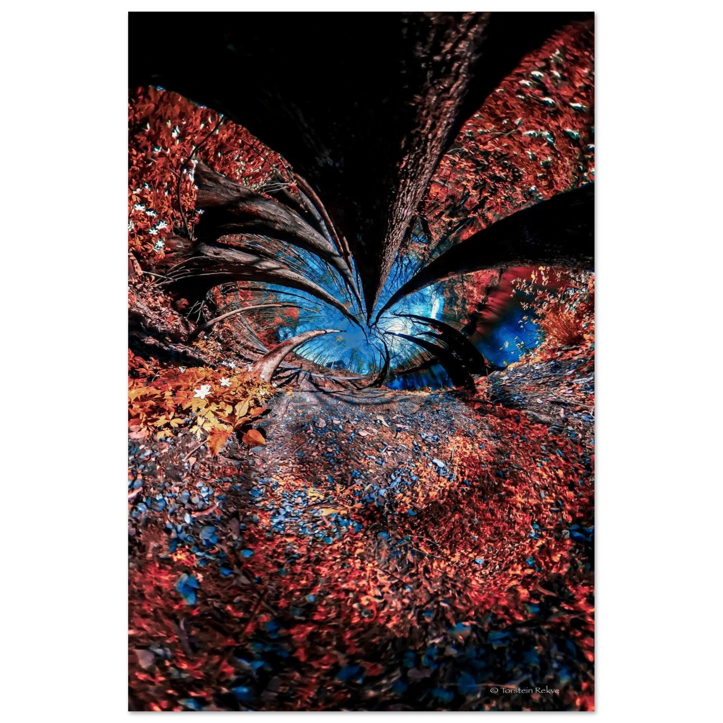 dbc57a1b-ef29-4a92-a5fc-034676de1731