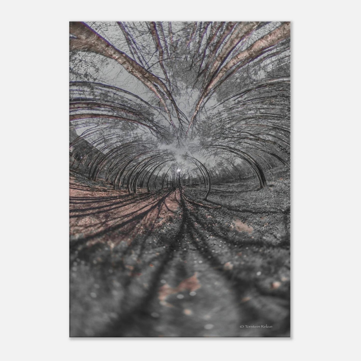 e10f34c2-183f-42f0-acf6-584b90eac0a4
