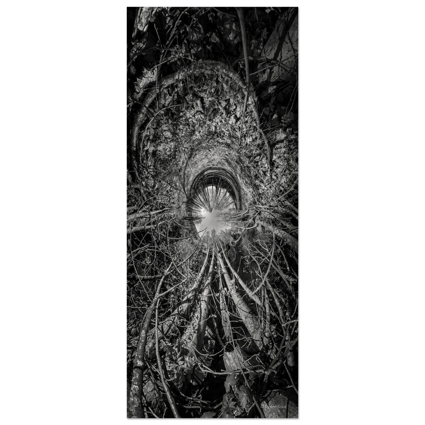 e218cc1c-cc8b-44da-814c-6c74293fdc13