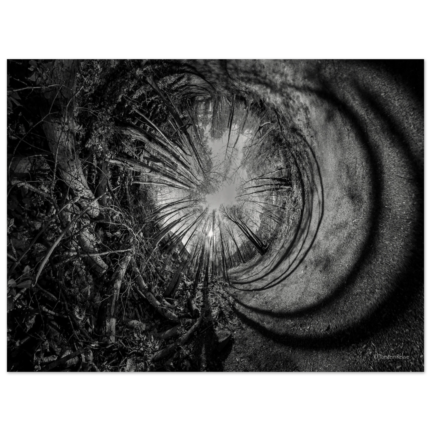 e2d98aeb-87ca-4631-b5e3-f87734c72f65