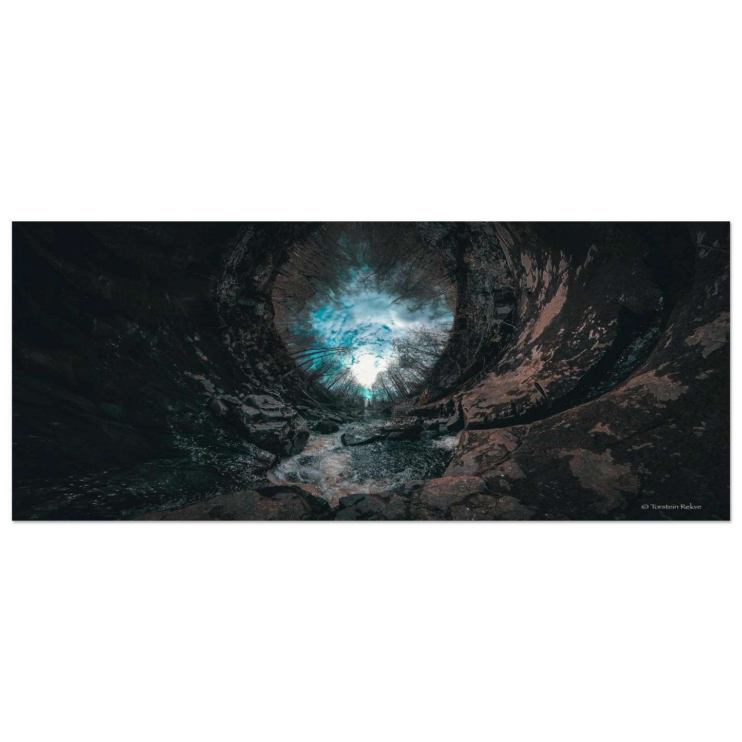 e31a2b92-ff8d-463a-9fe7-d1f3ef6abf5d