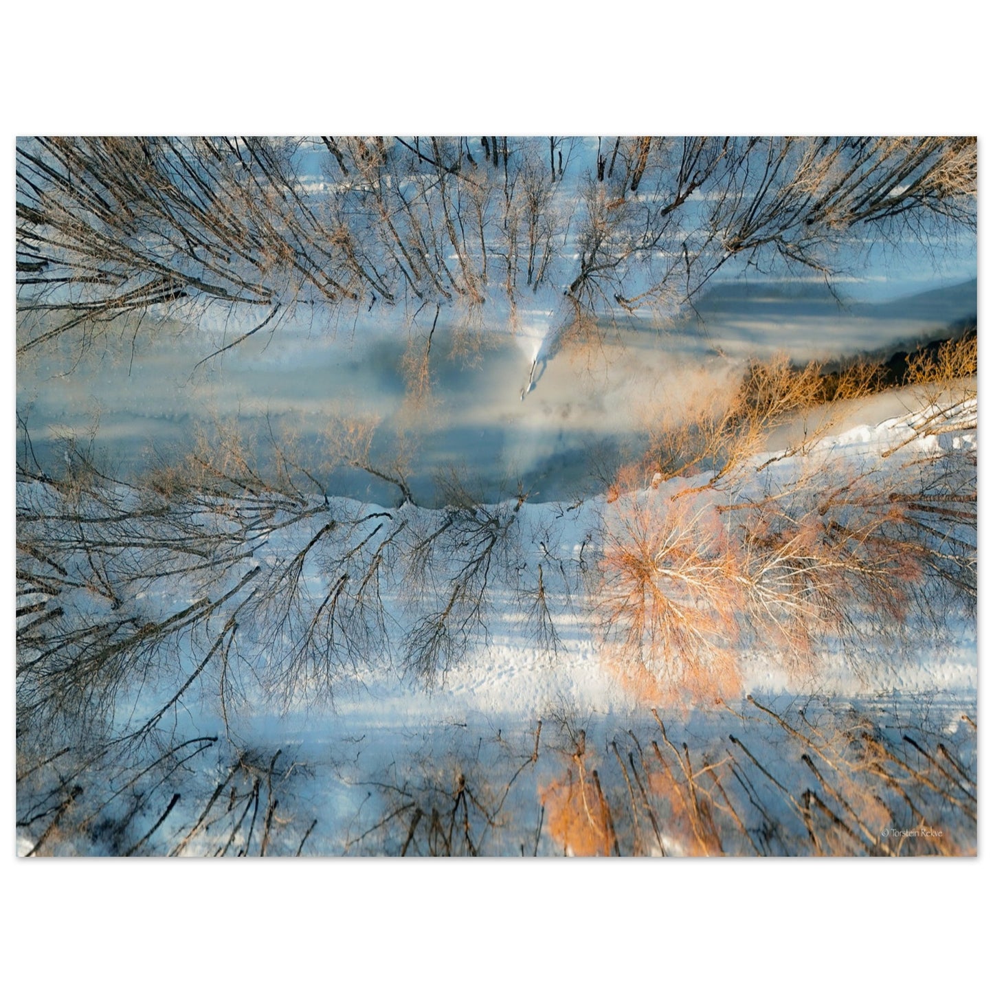 e3643679-03cb-4243-ac65-dbed878b4a10