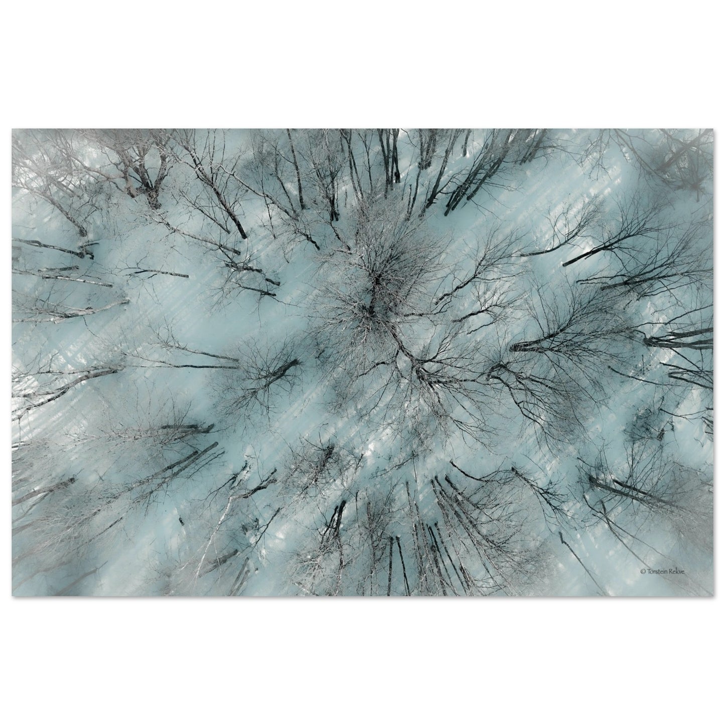 e6eb7c28-dbdb-465a-8b39-2dff1768892d