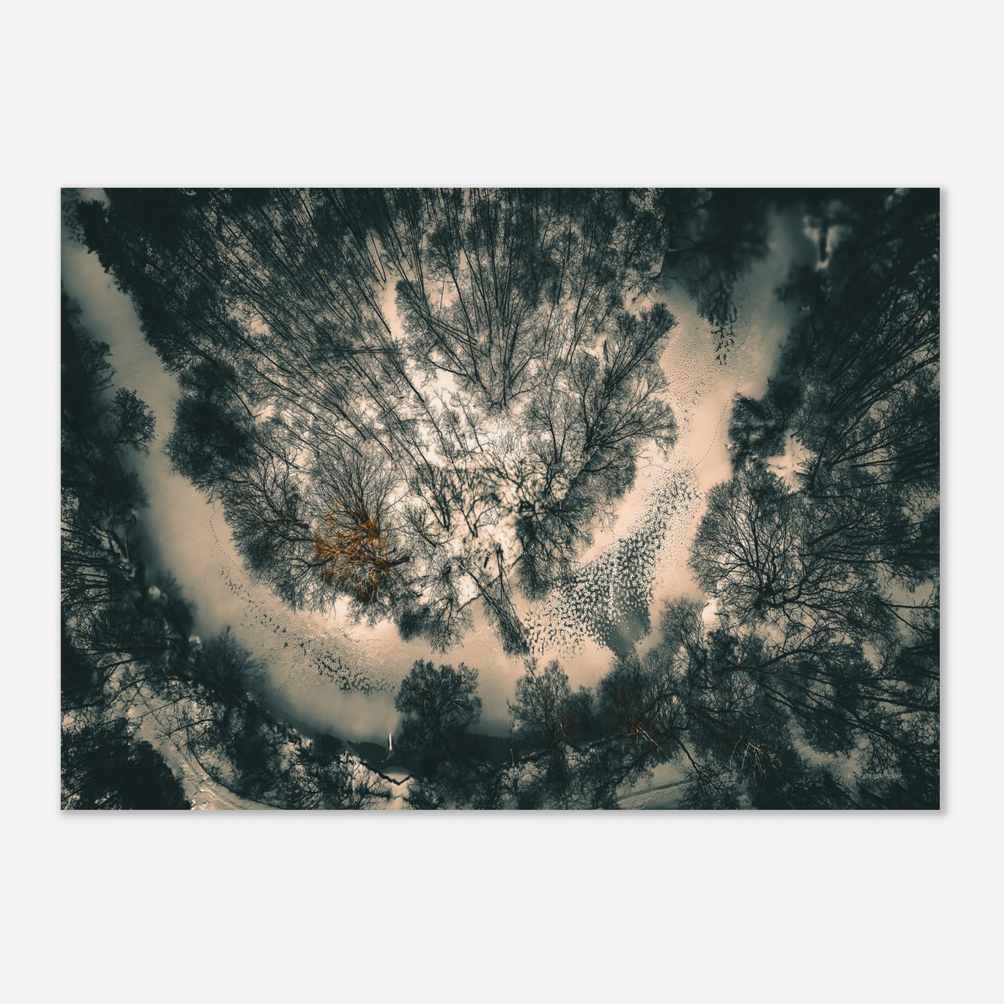 e84ea040-46d3-47cb-8d53-92acd2689588