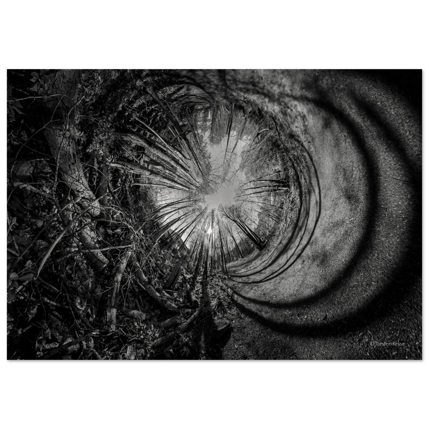 e897984d-7e8a-4636-bf26-4b1e18ec8c12