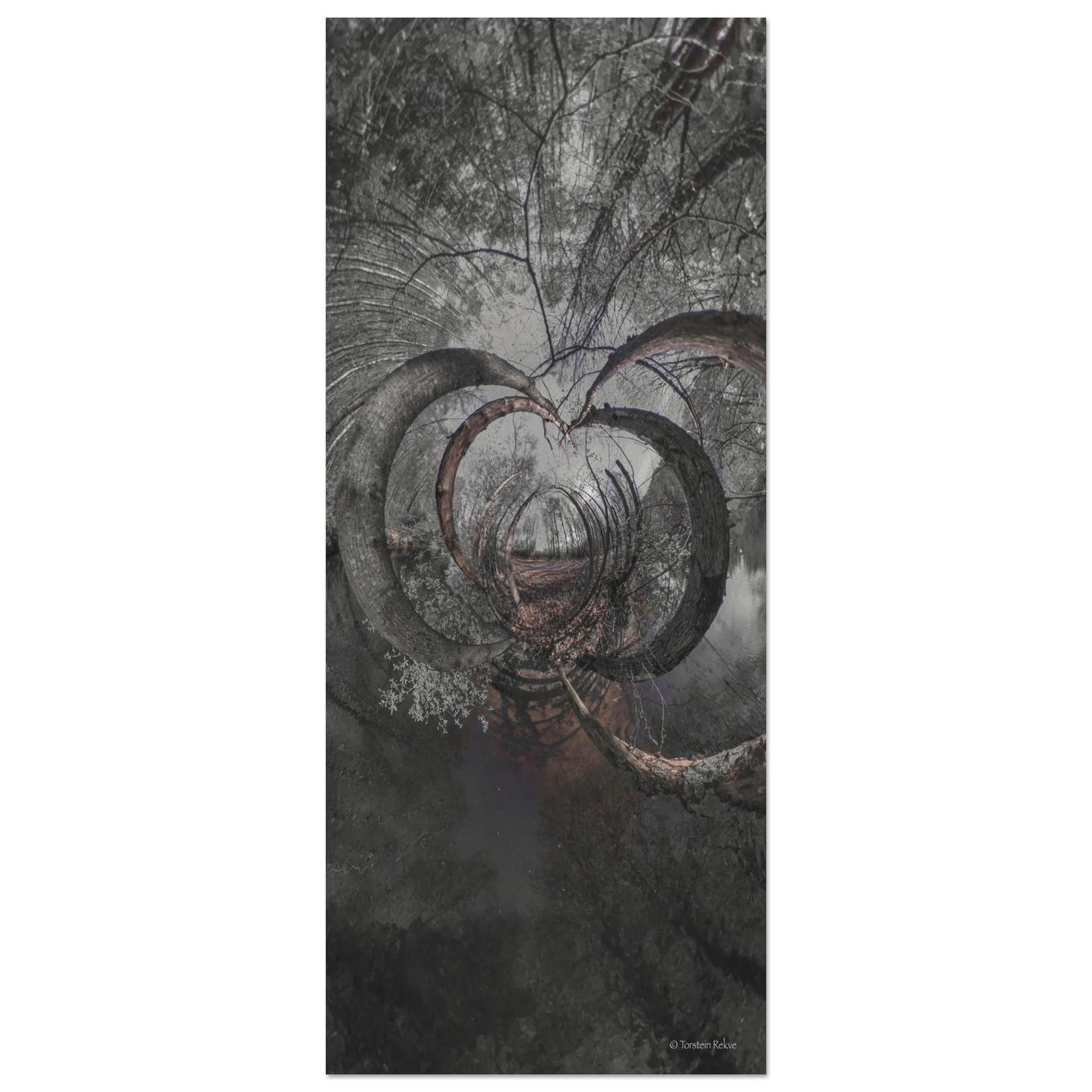 f0820aab-f5fa-418c-a07a-de083ddbee92