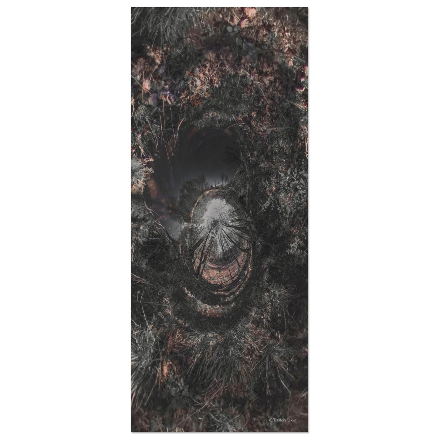 f3790d48-c666-44db-b317-d173ab4bbd6f
