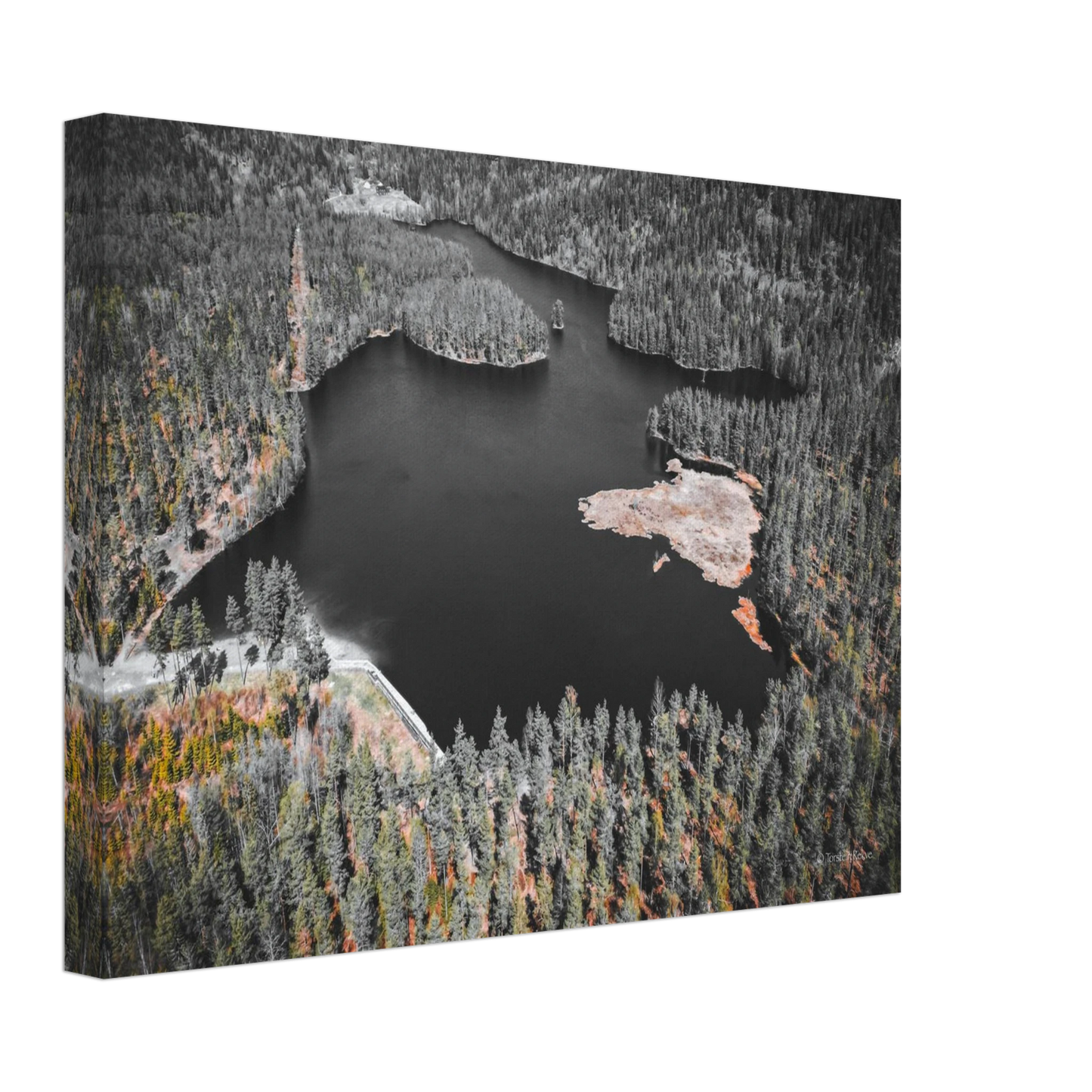 f5465036-9303-4472-9616-418bcc89f2cd