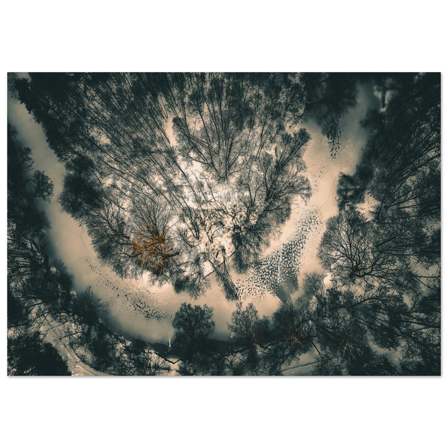 fa445070-7c3f-4e1d-9878-a28cf92d68a6