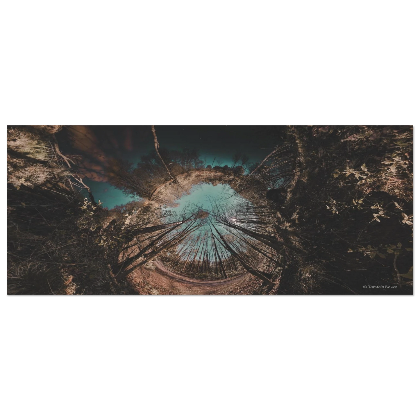 ff382457-d428-4aaa-b637-0e647073f017