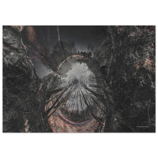 018f1538-a90b-48d8-9ca4-9018d2bdbc47