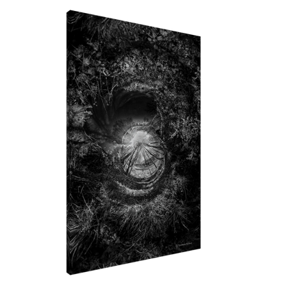 074ccb4f-cb57-46f6-8b8a-a30711d659e4