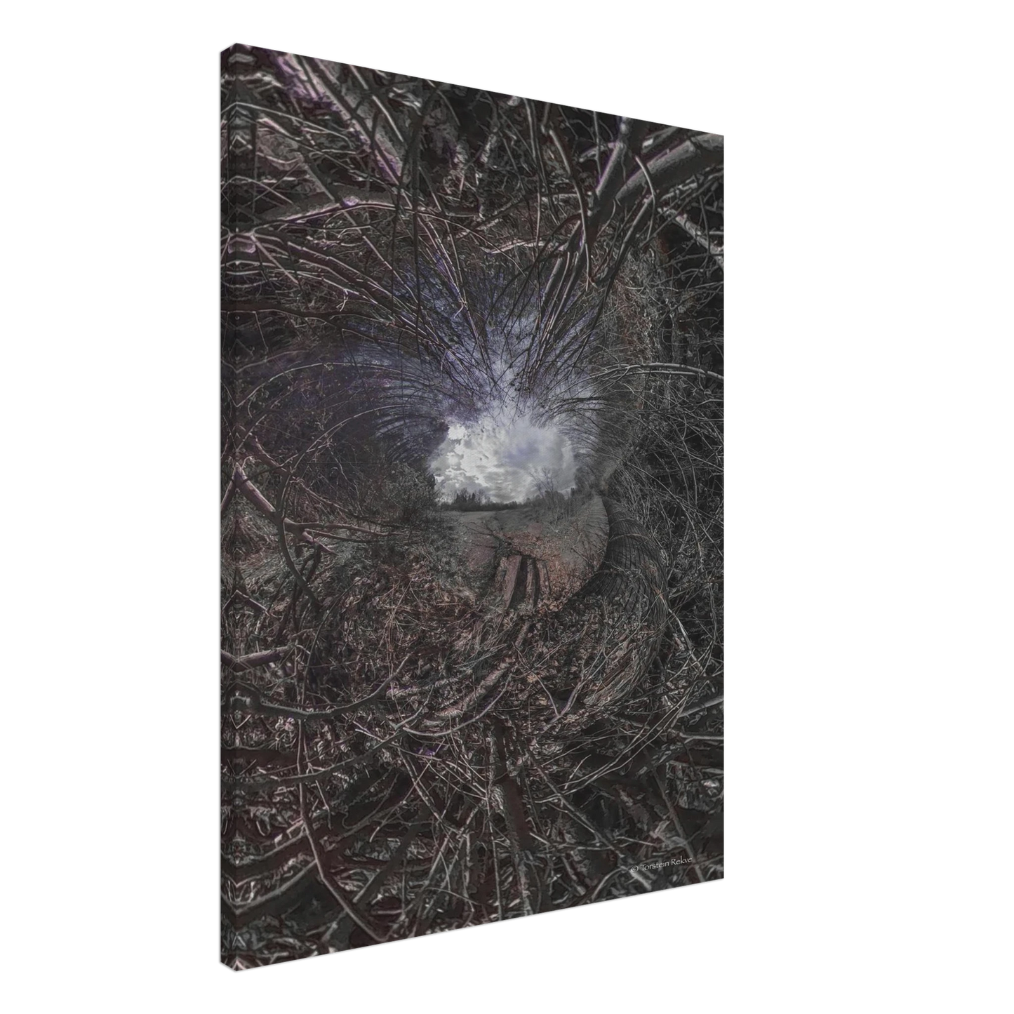 13d1cc52-9d5c-4696-b712-1a2ac846a369