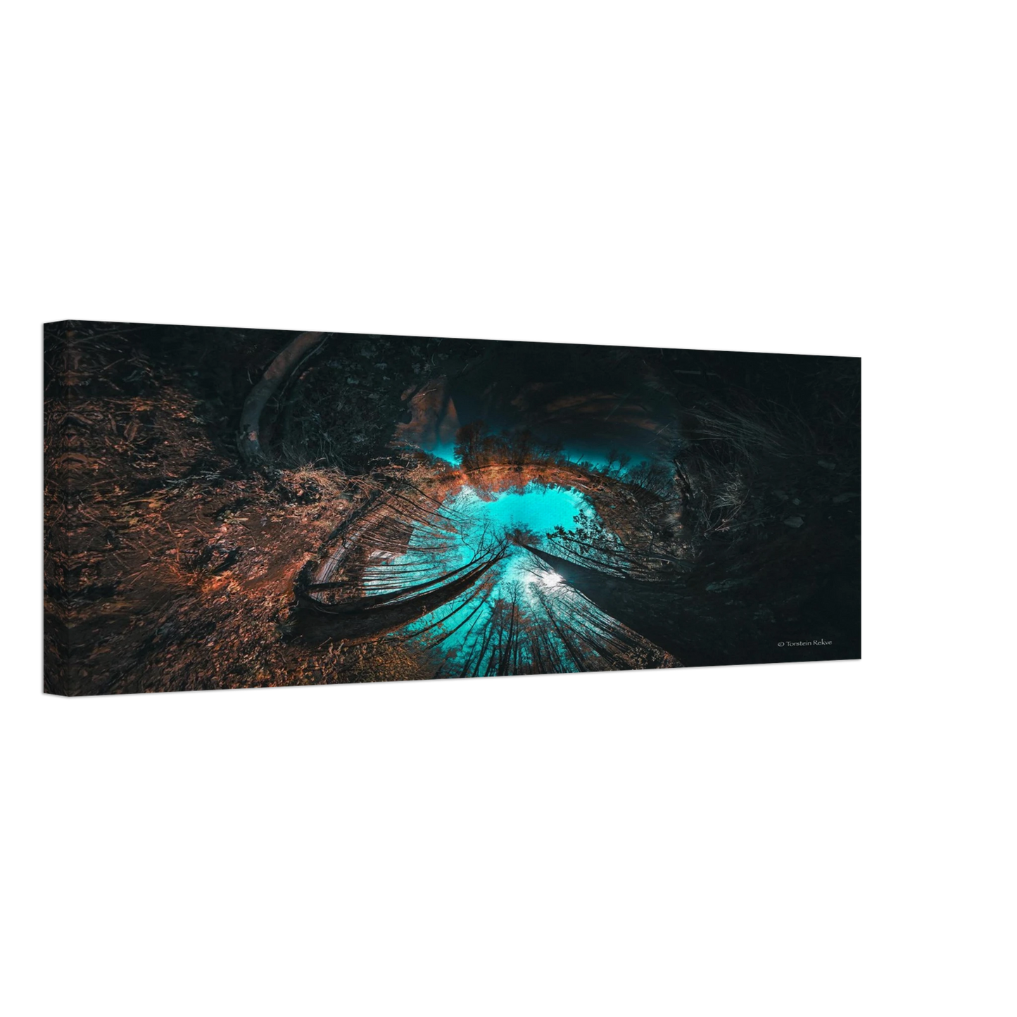 1a481be3-b5db-4377-afed-9034d51e46d0