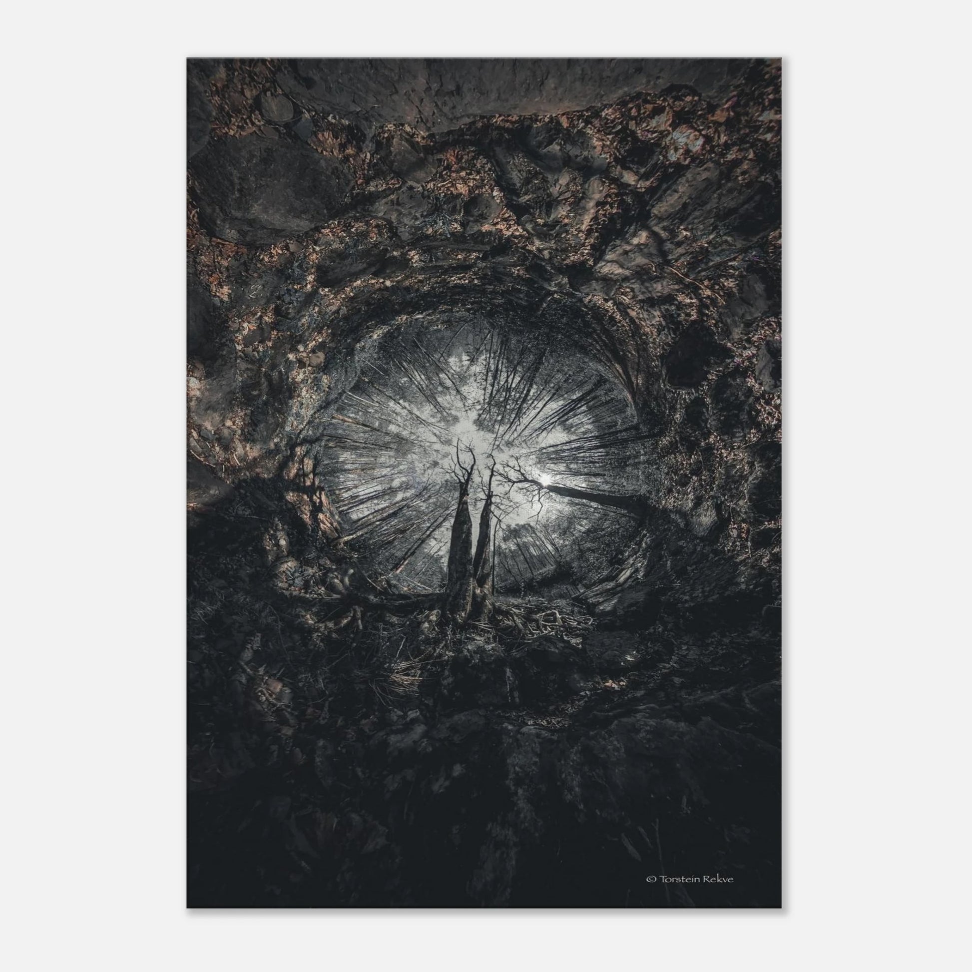 1d8bbaec-0ca9-4a53-81fd-afc07e75b77e