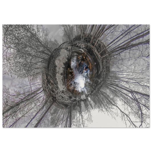 1e33287d-bde6-419d-85c2-36286eb8dd9b