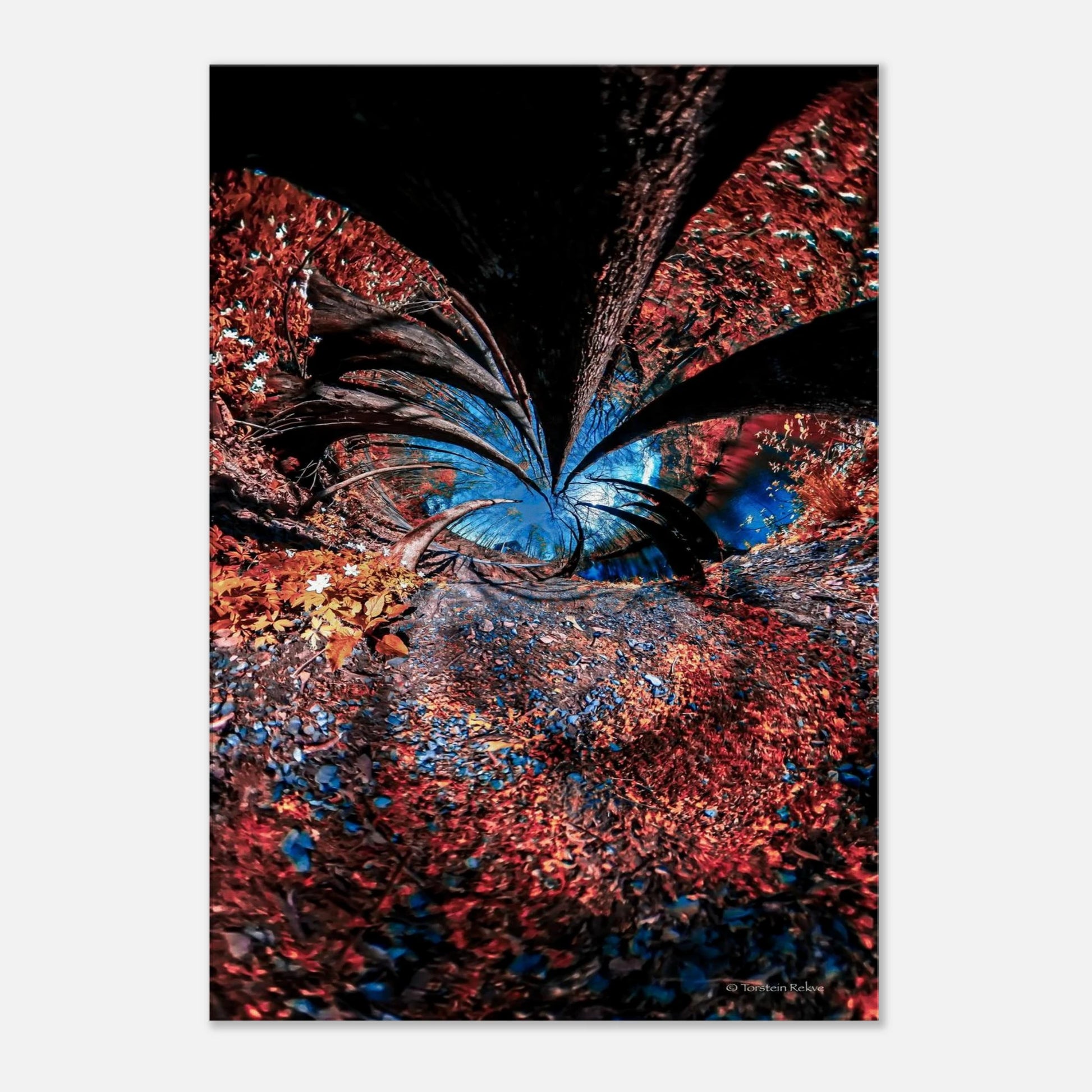 207c2337-a5f1-4593-ba00-e56ffd1ab1bb