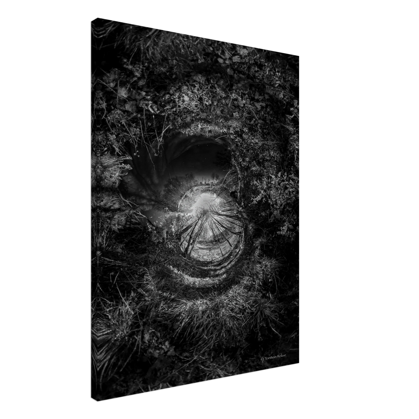 22b81221-9293-411d-8806-158ad5571781