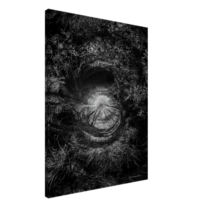 22b81221-9293-411d-8806-158ad5571781