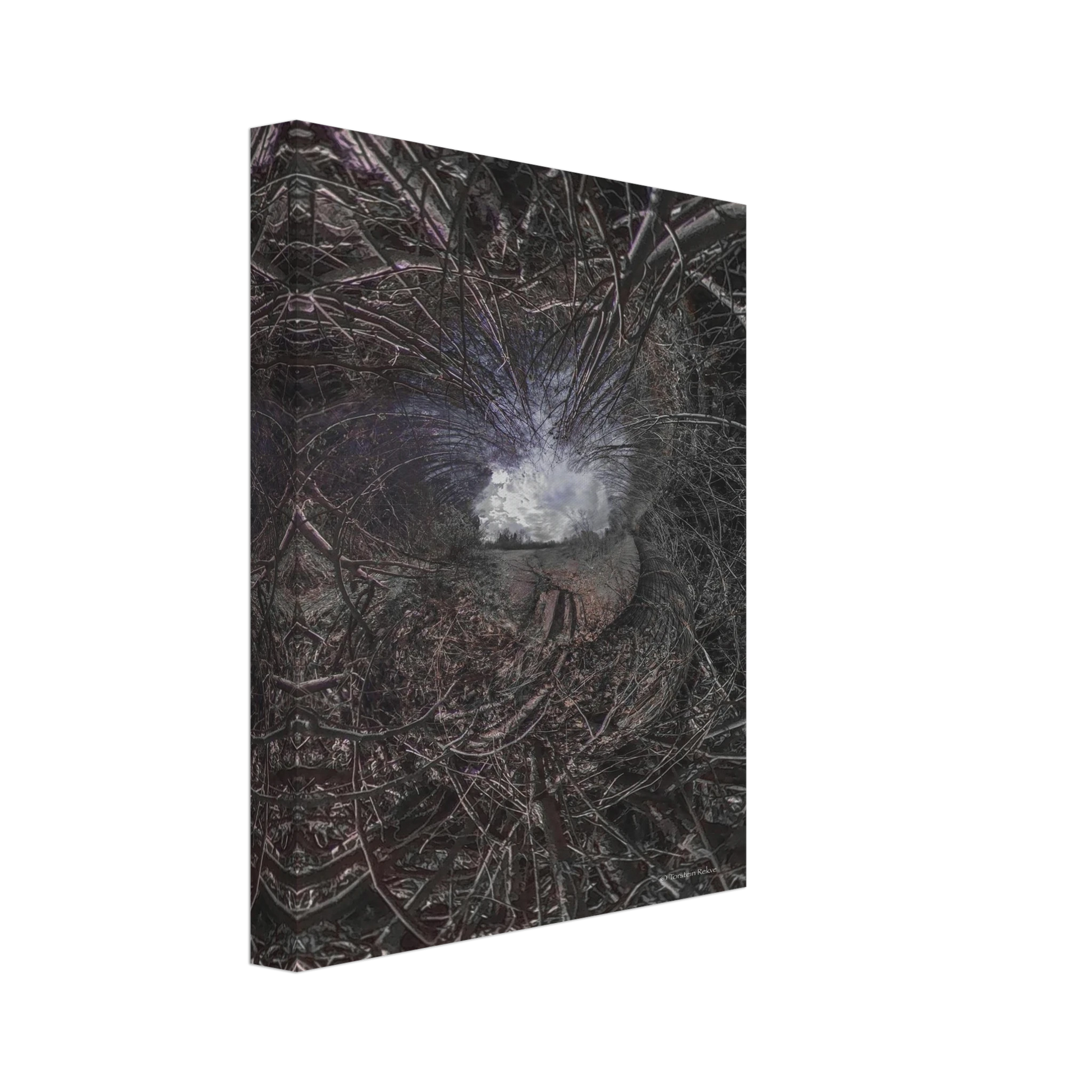 2531a360-ef0a-45ac-9136-e3b17e058236