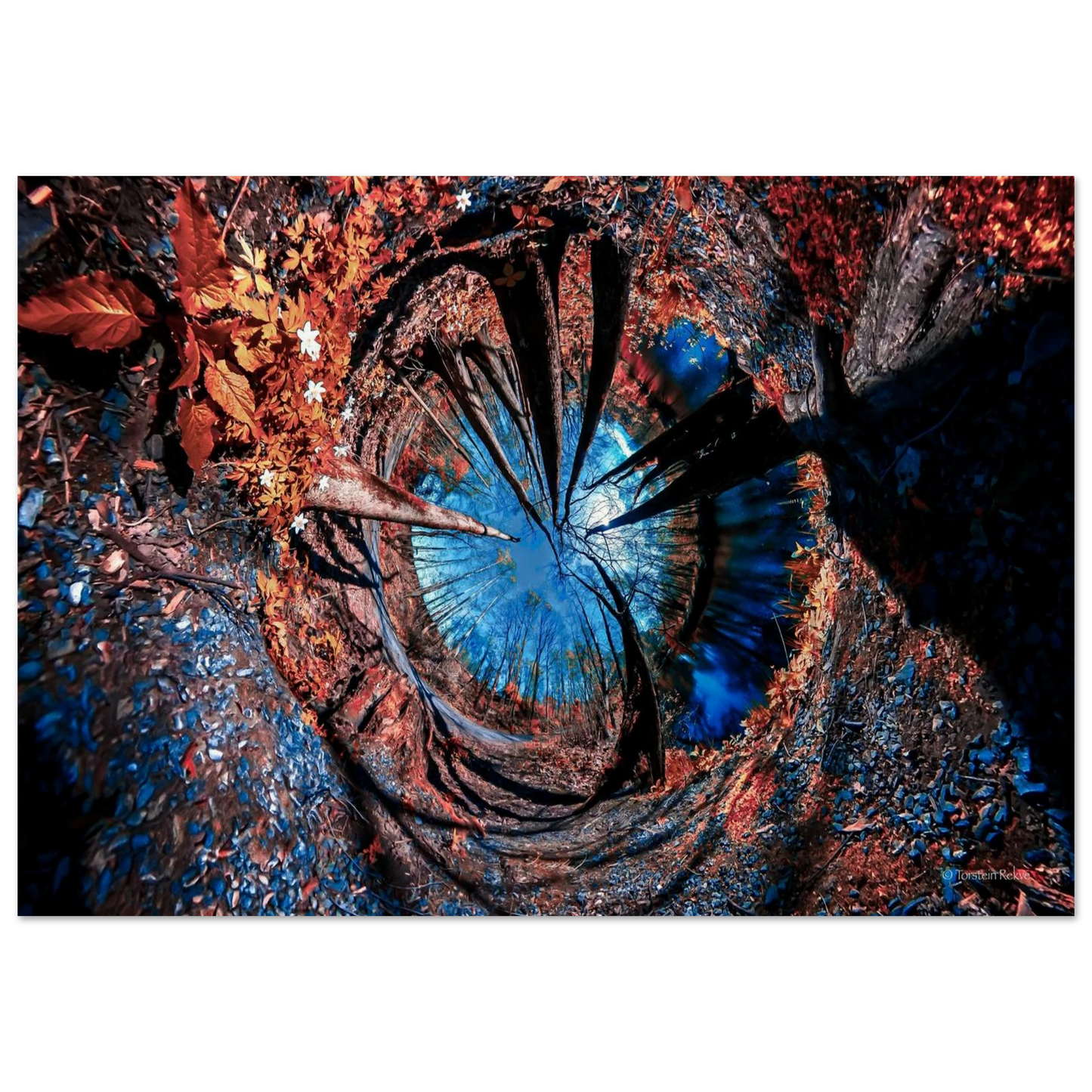 269d1441-45e4-4b38-bd7e-bca08c13f481