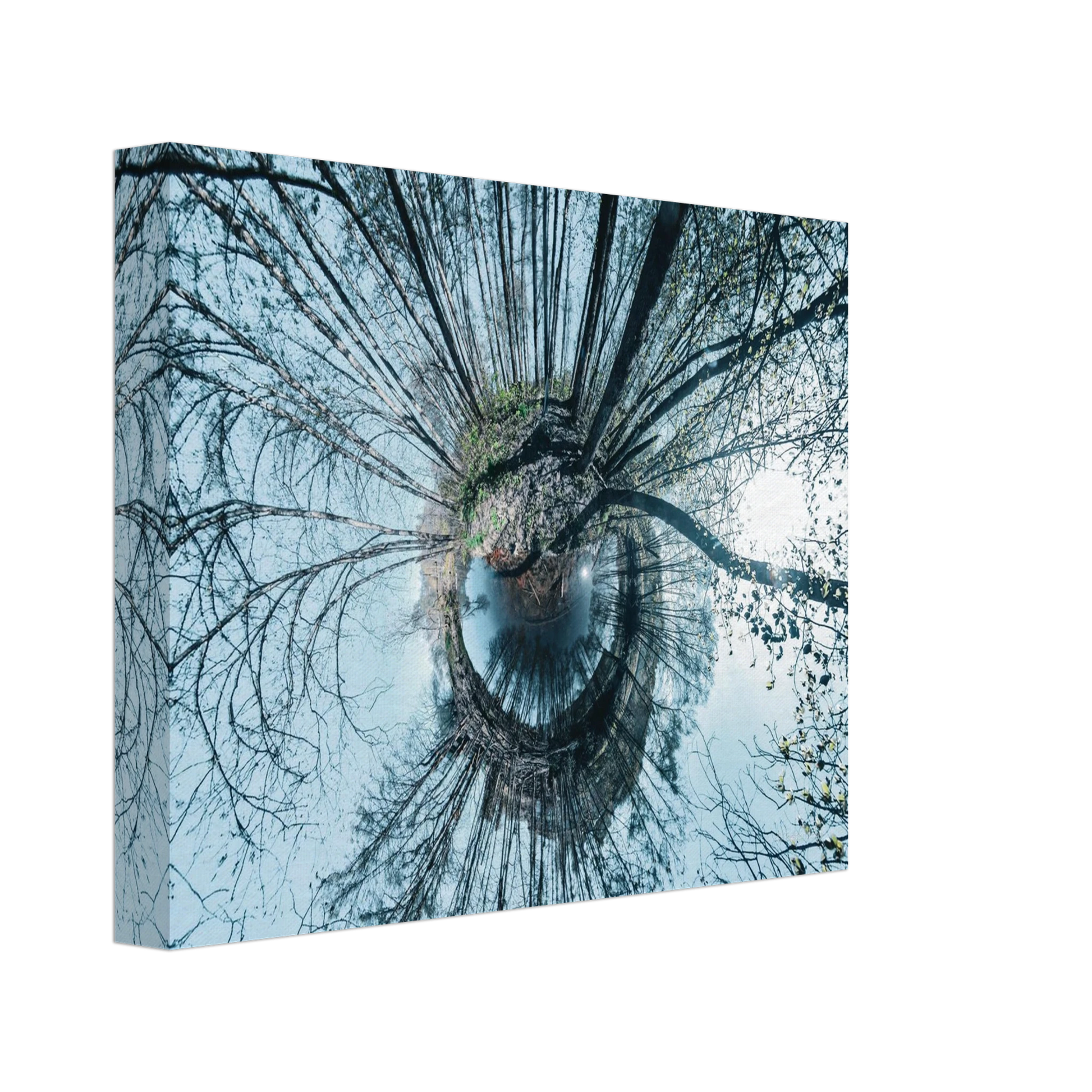 2c420870-1d9c-4840-afb9-7122c10b9dde