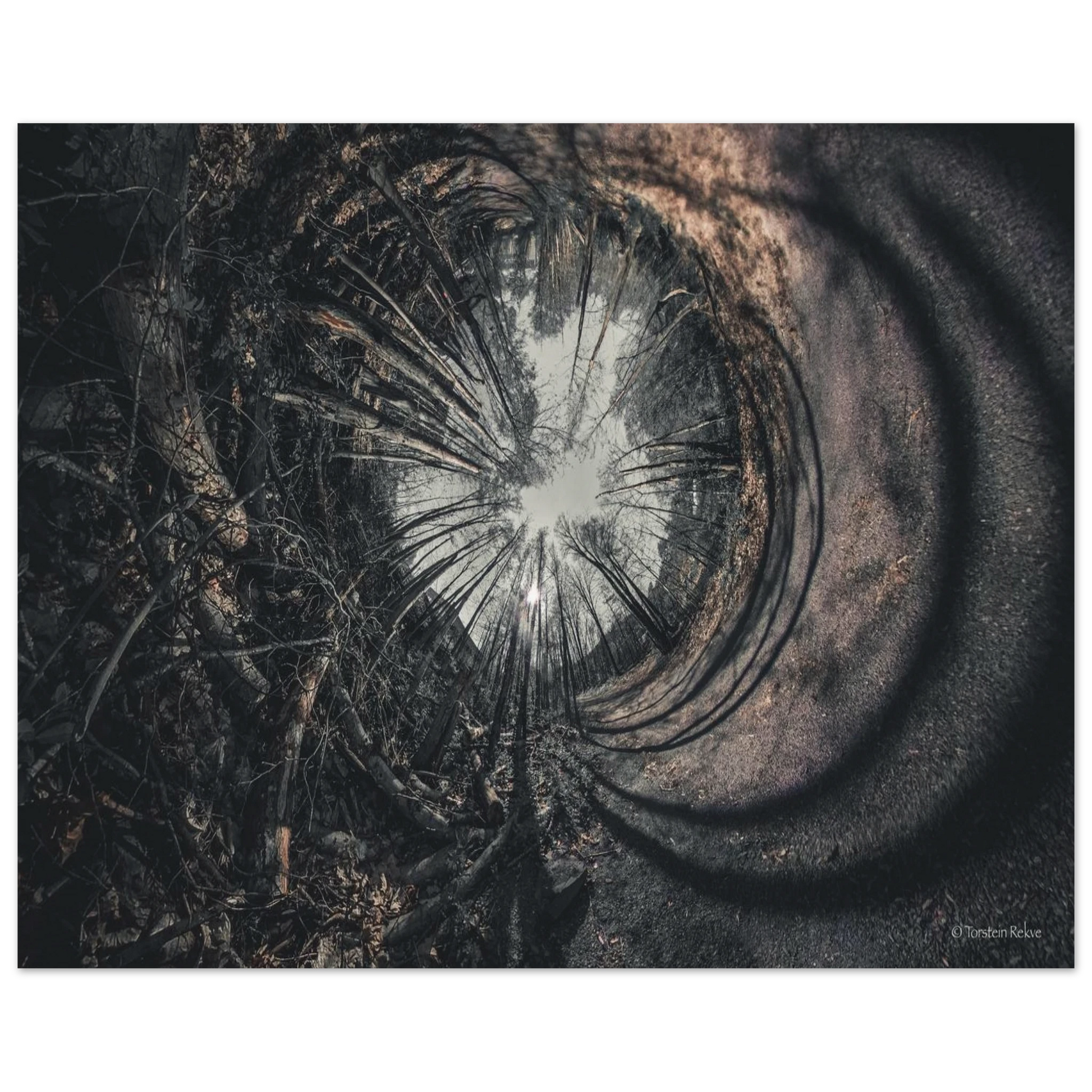 3791077f-7322-48d2-a3f7-eef4a06b09ec