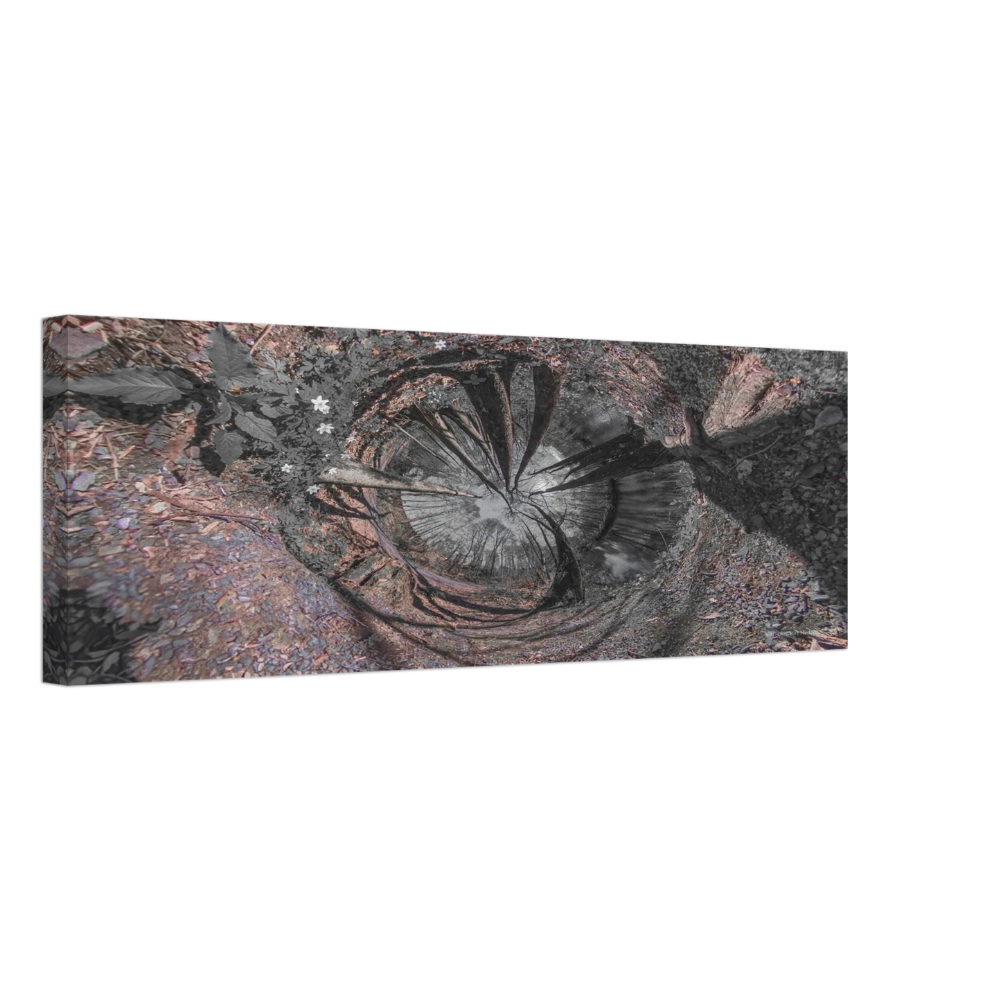 44aaa2b8-5828-4b22-97d6-b573e5018b25