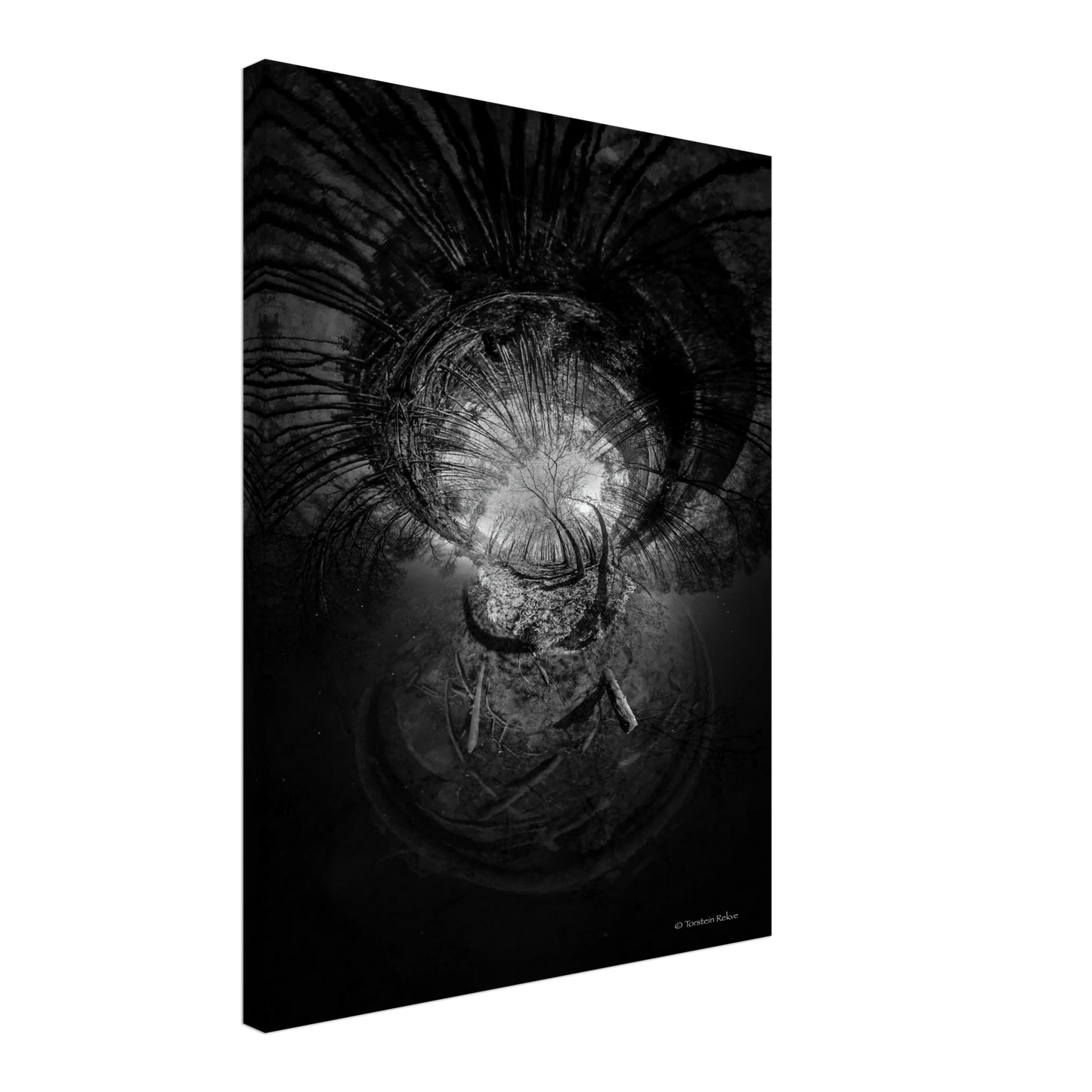 4f9ef75d-8d01-4d34-b106-c40ed1ccc3df