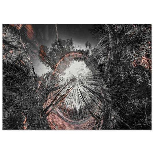79627c25-f0fd-423d-bf68-2d87f30e30e8