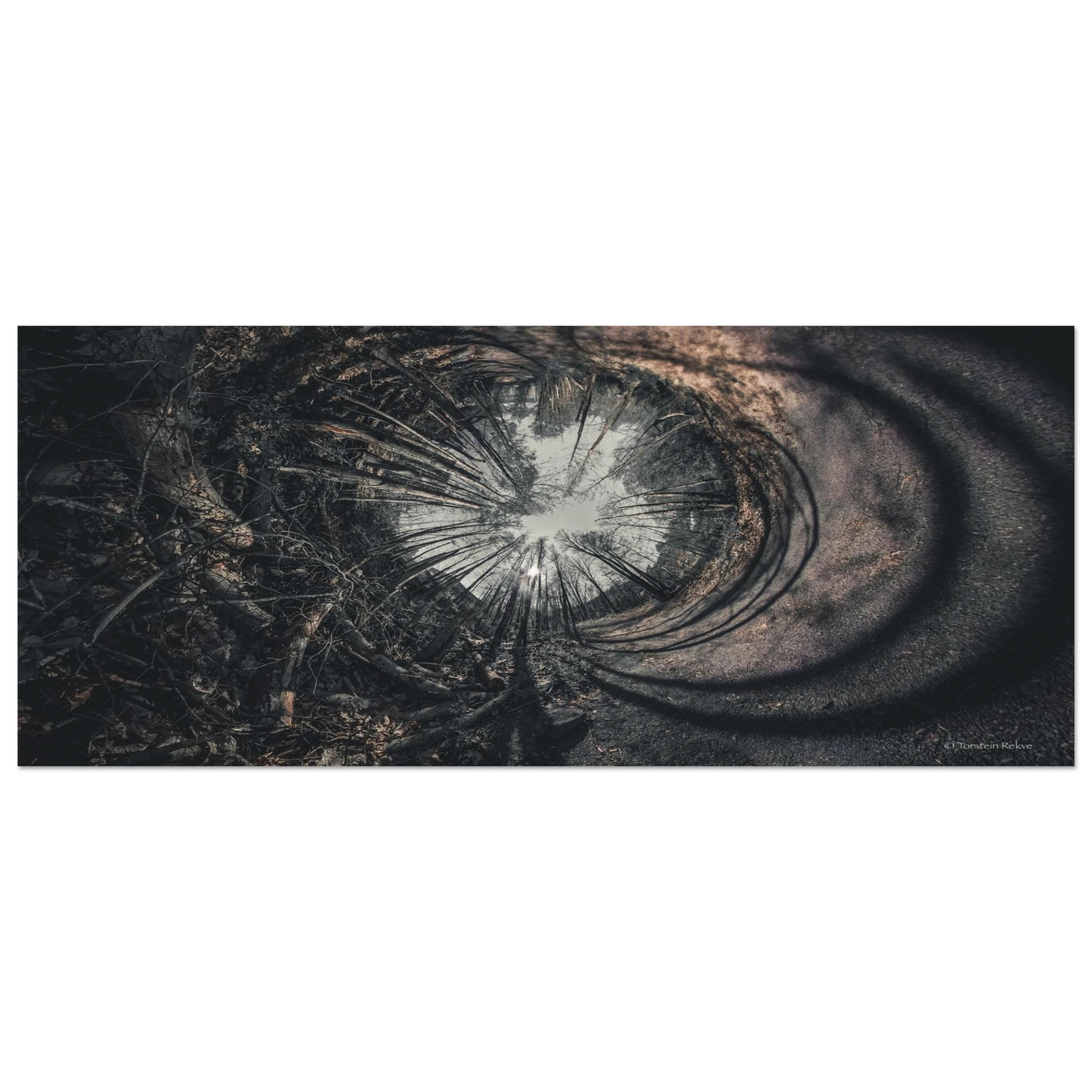7b1a4116-9021-4ece-b568-e5f9e6c1d05c