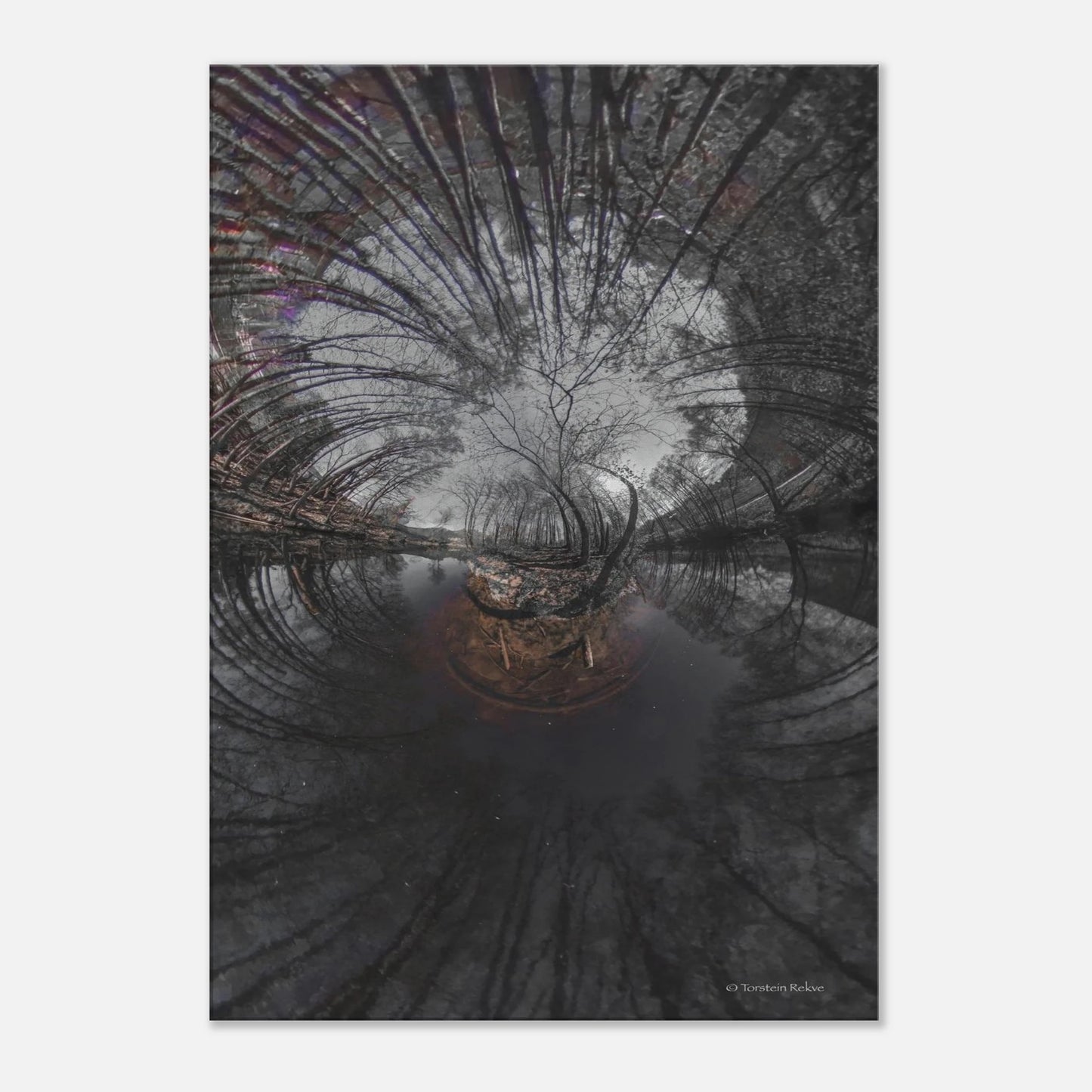 817f0ab7-ecc6-4aeb-b563-03bfad31c0ef