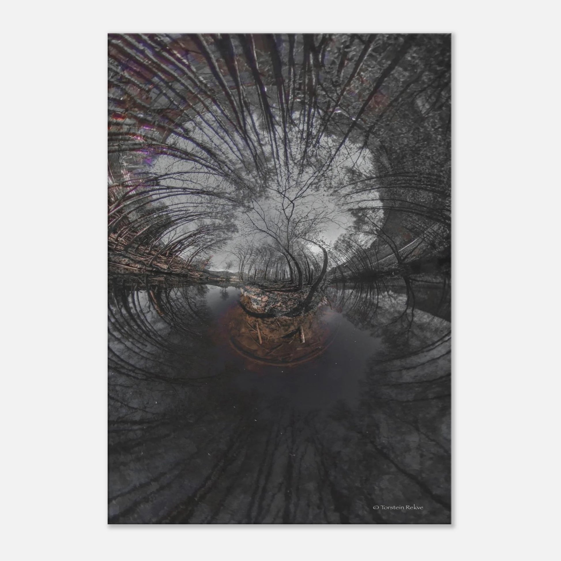 817f0ab7-ecc6-4aeb-b563-03bfad31c0ef