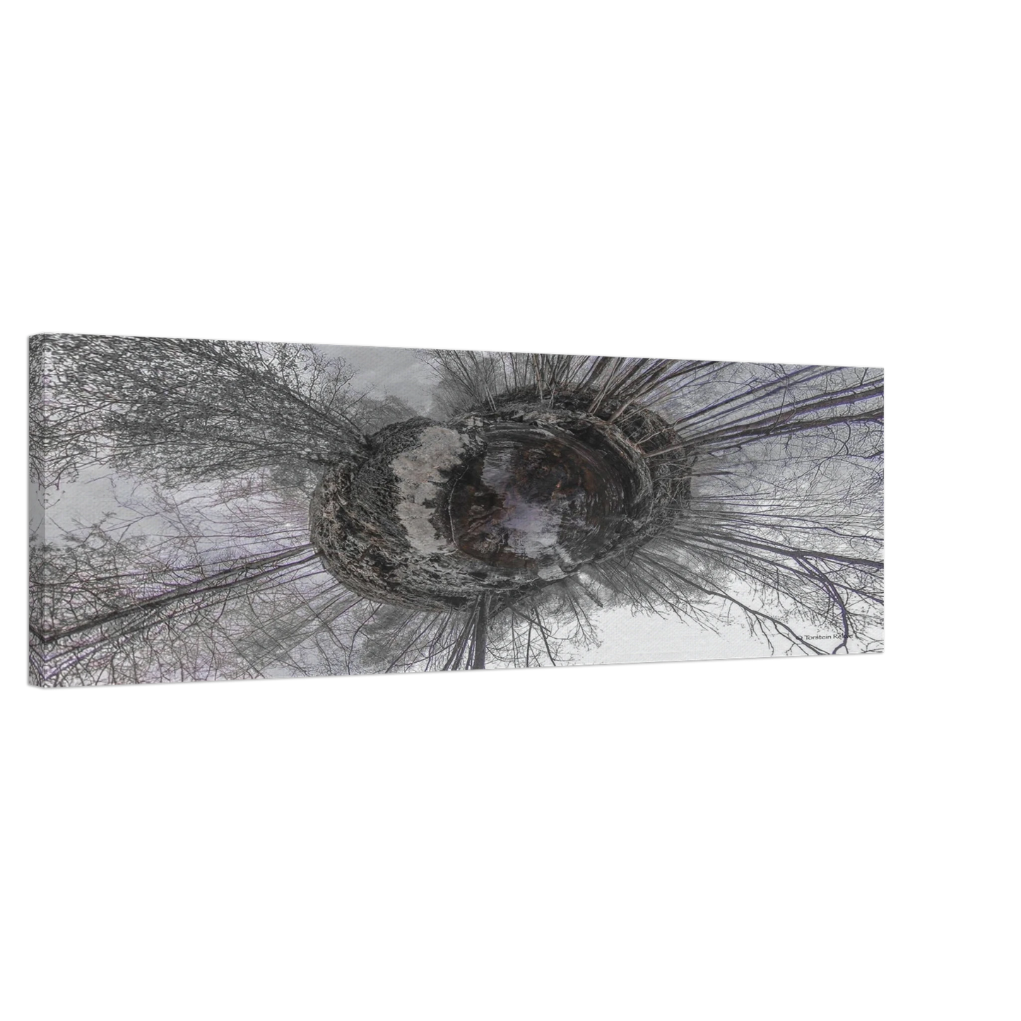 8a4c2a7d-e58f-47c0-9799-78e87824dd22