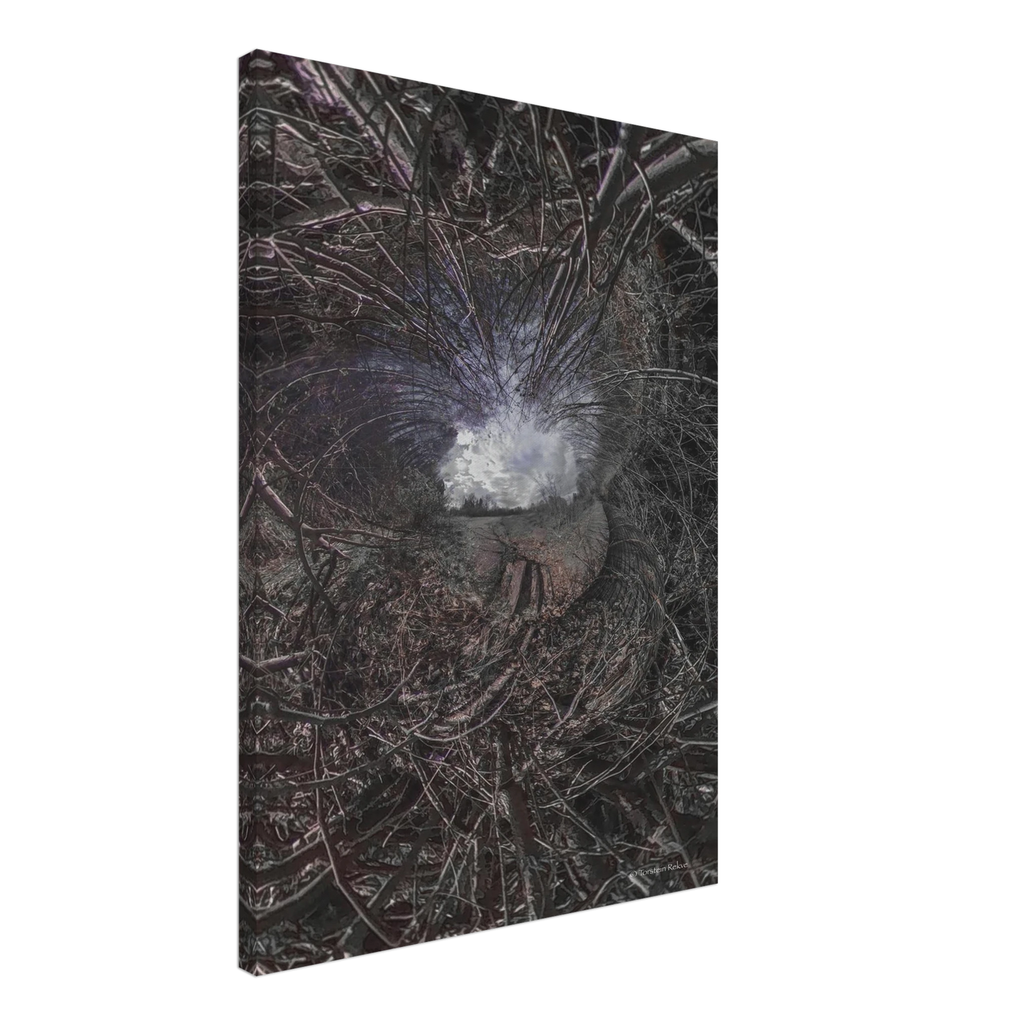 8c767e96-3d64-4194-945f-09bea636e878