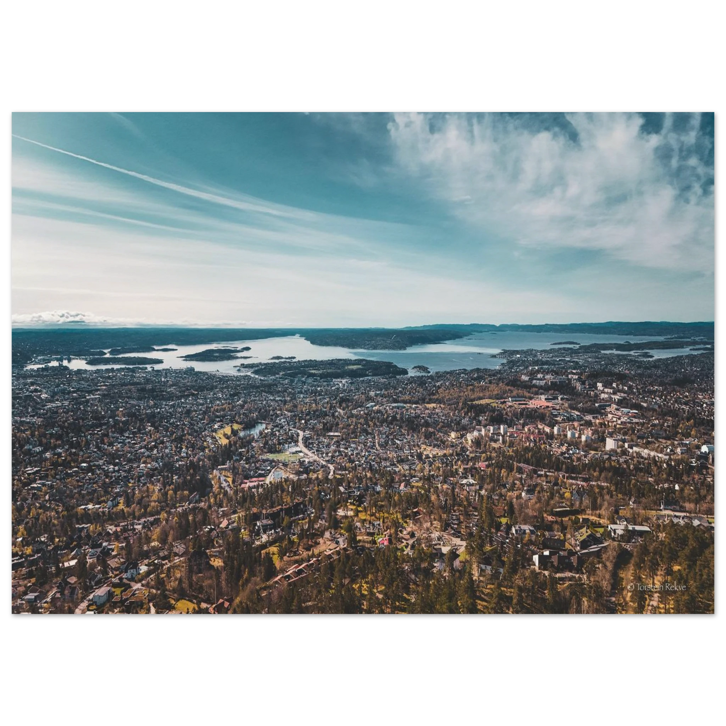93964099-f208-43ee-97b9-d50165ee678f