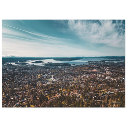 93964099-f208-43ee-97b9-d50165ee678f