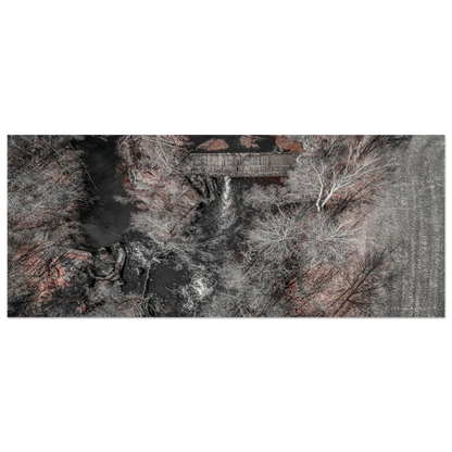 a1e9988d-0770-4297-bb09-d3f3659c2c53