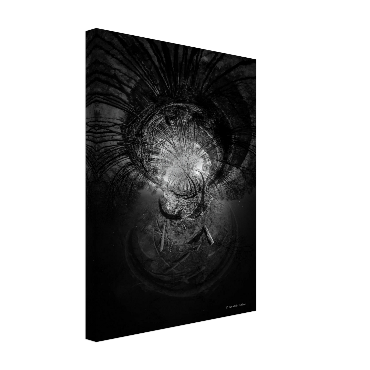 a2c264d9-6ffa-4a7b-be47-2ab2982d234b